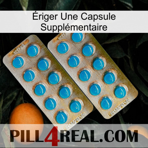 Ériger Une Capsule Supplémentaire new08.jpg